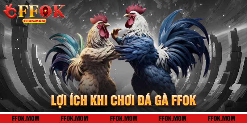 Đá Gà FFOK: Lợi Ích Khi Tham Gia
