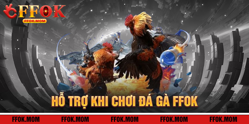 Đá Gà FFOK: Hỗ Trợ Tận Tâm