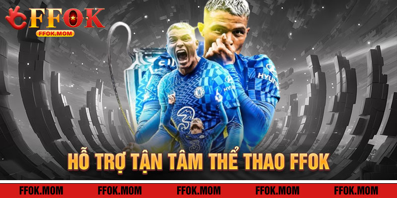 Thể Thao FFOK: Hỗ Trợ Tận Tâm Cho Đấu Trường Không Gián Đoạn